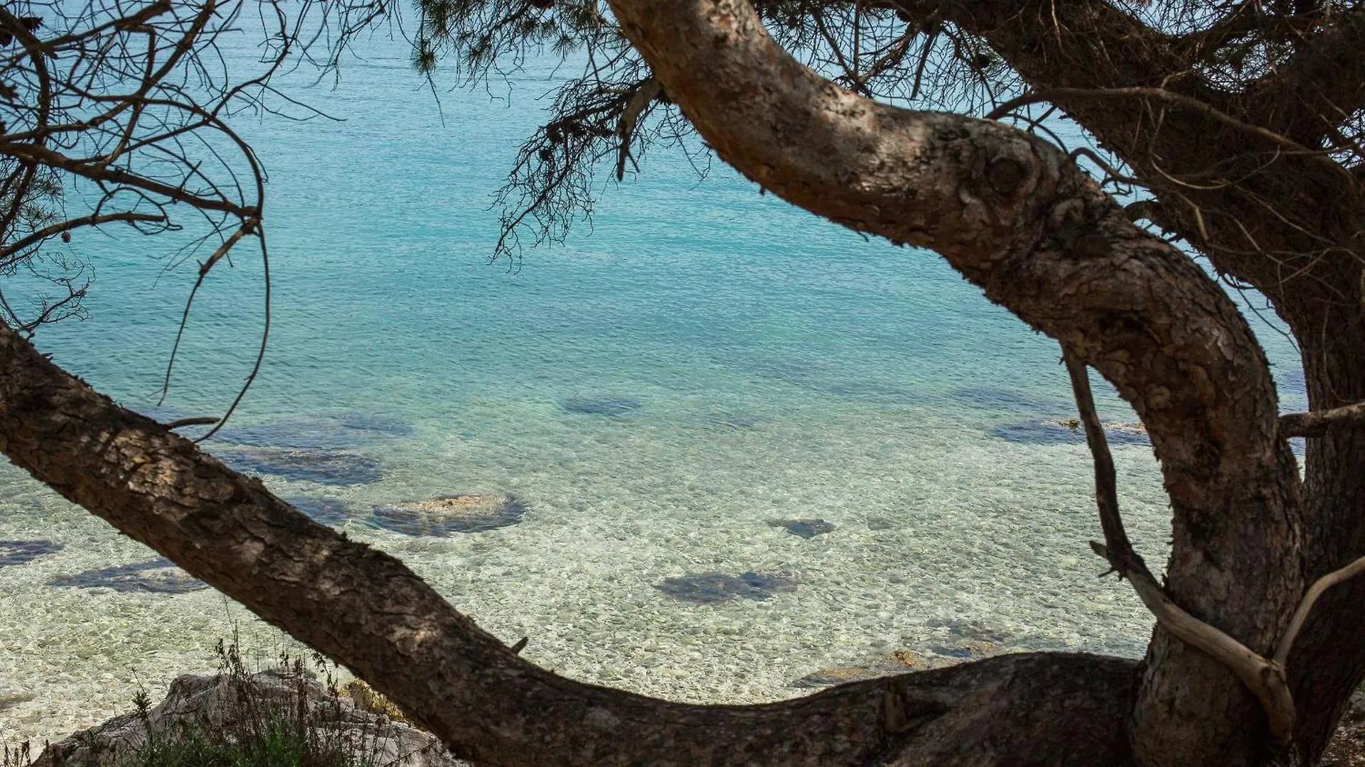 Villa Navisus Trogir